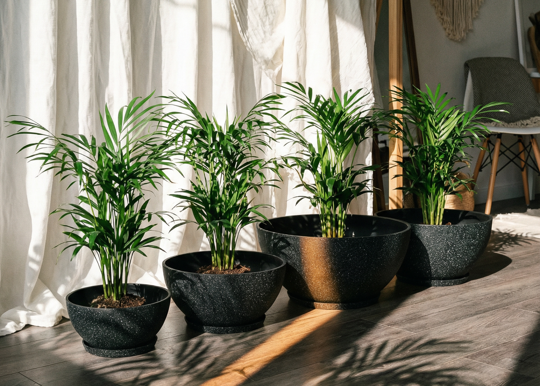 large decorative pots for indoor plants australia Stylish Nova Bowl Set