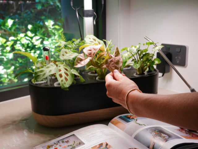 indoor plant grow lights australia Hydroponic Indoor Smart Garden 10 Pods
