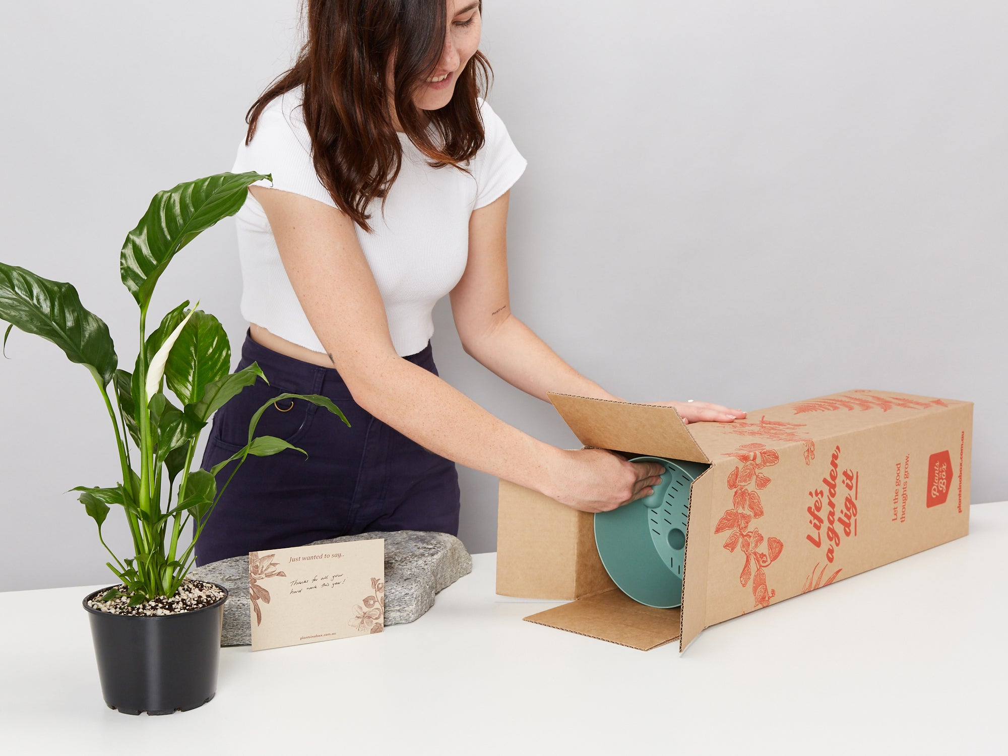 best container for peace lily Peace Lily - Pot + Plant + Soil