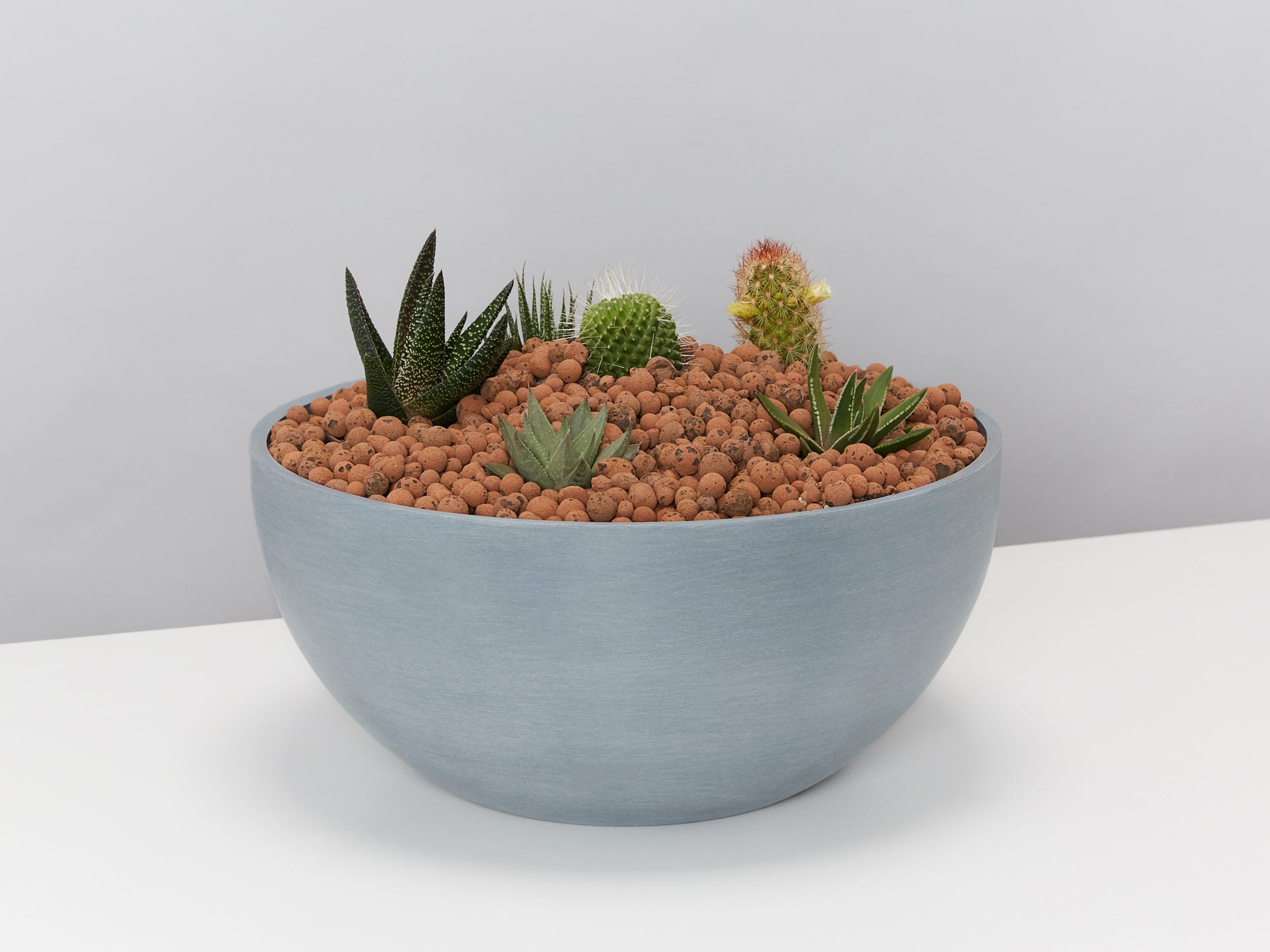 DIY Large Cactus Bowl In LECA Set 🌵 | Buy Online Aus