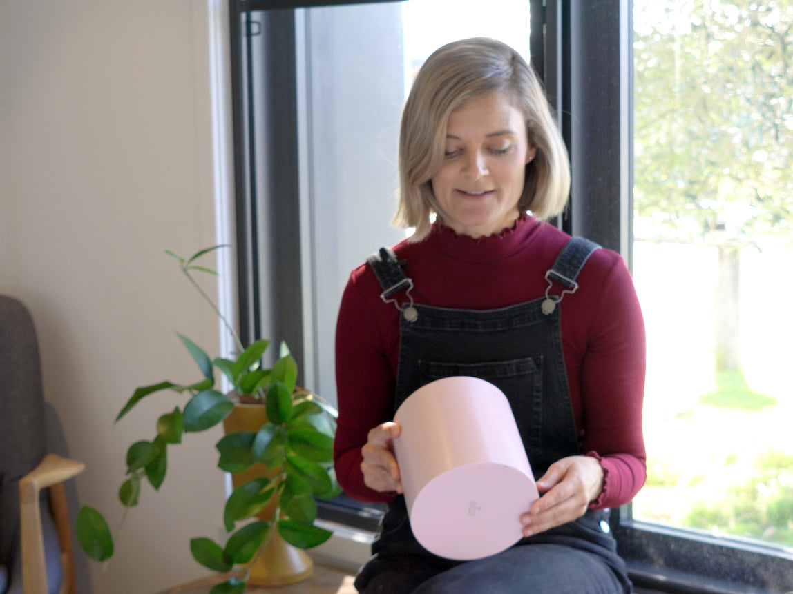 How to use a pot with no drainage hole? Here's How – Plants in a box