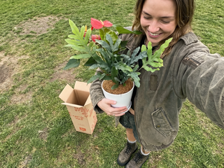 Best Selling Plant Gifts