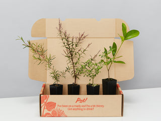 Edible plants