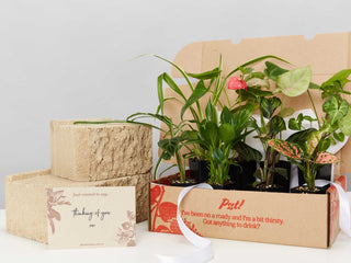 Gifting