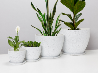 Indoor & Outdoor Pot Sets
