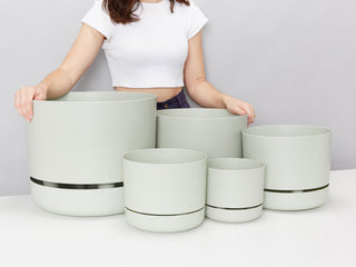 Self Watering Pots