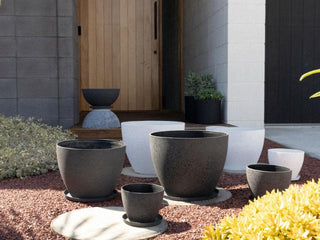 Pots