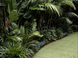 Tropical Gardens