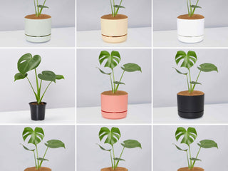 Gifts Under $80