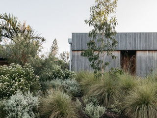 Australian Native Gardens