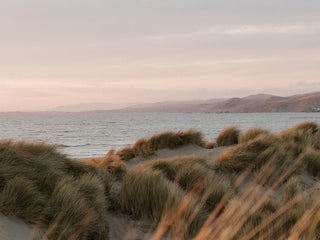 Coastal Garden
