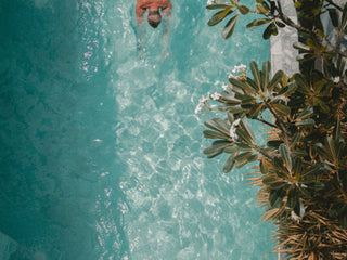 Pool Side Plants