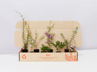 Garden Plants