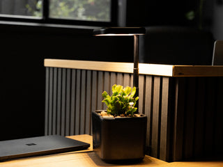 Gifts for the Office