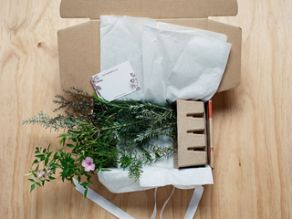 Birds and Bees 🐝  Gift Box - Includes Gift Wrapping & Card