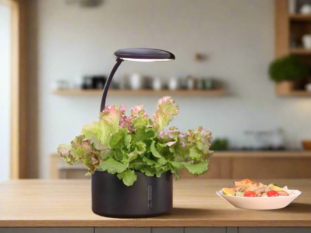 Smart Intelligent Planter 6 Pods | Shop Smart Gardens By Plants in a ...