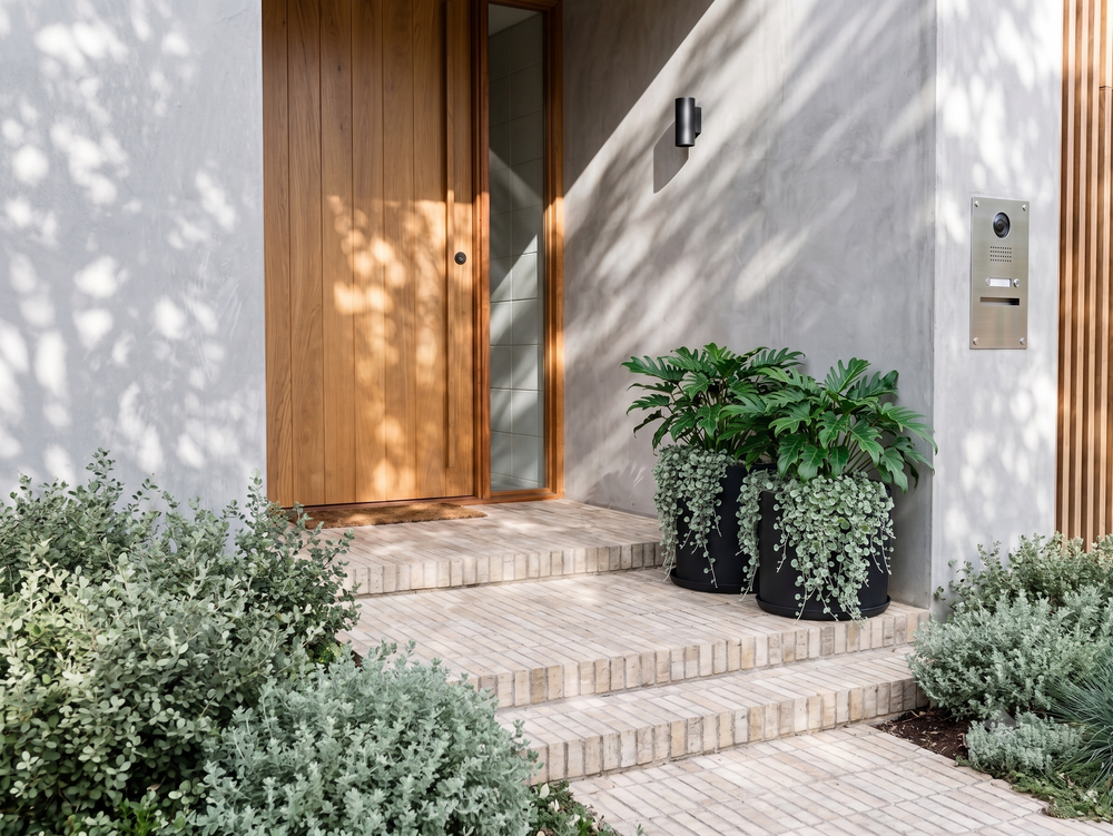 Contemporary Garden