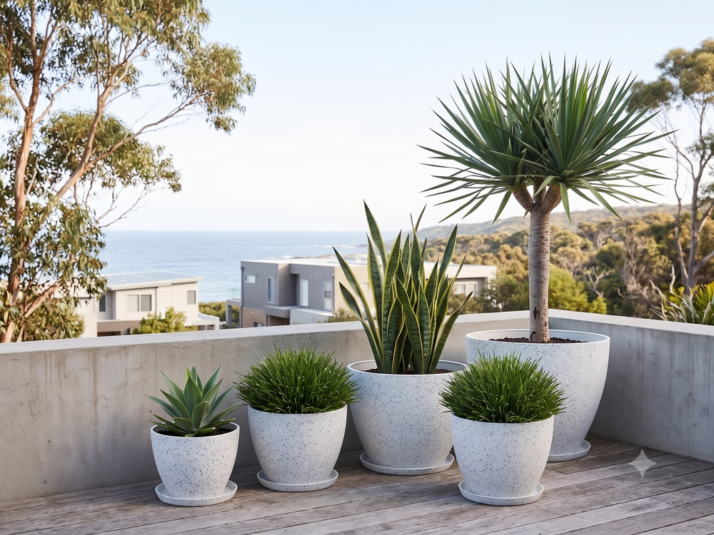 Coastal Living