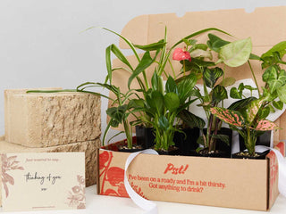 E-Gift Vouchers