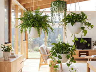 Hanging Pots