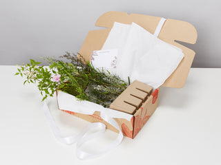 Birds and Bees 🐝  Gift Box - Includes Gift Wrapping & Card
