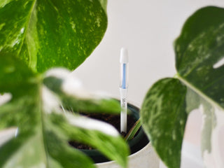 Sustee Moisture Meter - Award Winning Top Seller🥇 Know exactly when to water.
