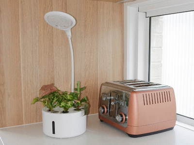 A smart planter with pods is placed on a countertop next to a toaster, with a indoor plants growing in it.