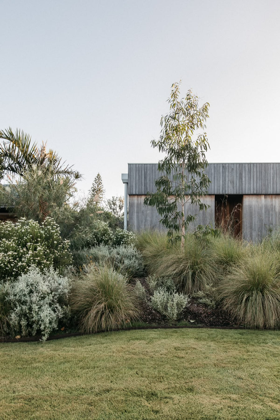 Wildlife-attracting plants that invite birds, bees and butterflies into Australian gardens, supporting local biodiversity and creating a lively outdoor space.