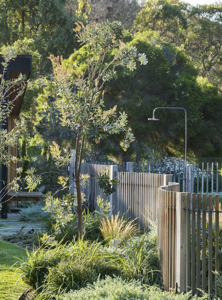 Plants that can handle coastal conditions like salt and wind