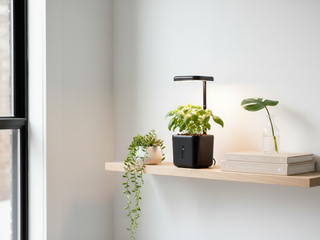 Gifts for the Office