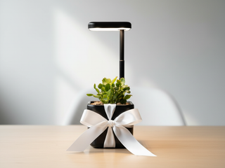 Gifts for the Office