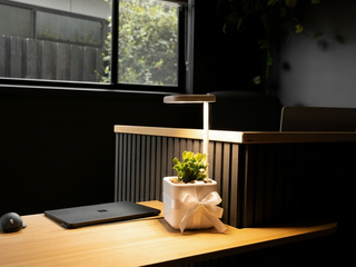 Smart Pot – LED Grow Light & Self-Watering Planter Only