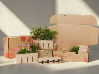 Mixed Box Of Outdoor Garden Plants - Choose your own Outdoor Plants